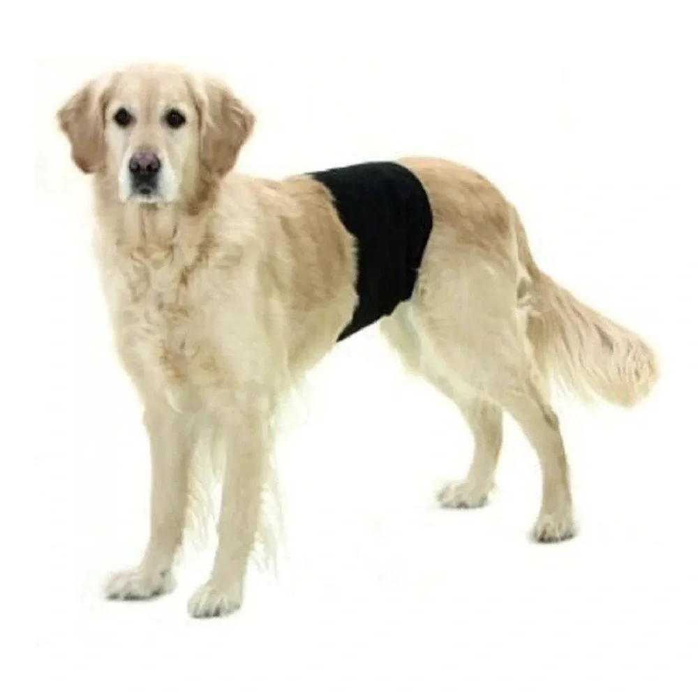 3 Teamoy Reusable Wrap Diapers for Male Dogs Washable Puppy Belly Band (A146)